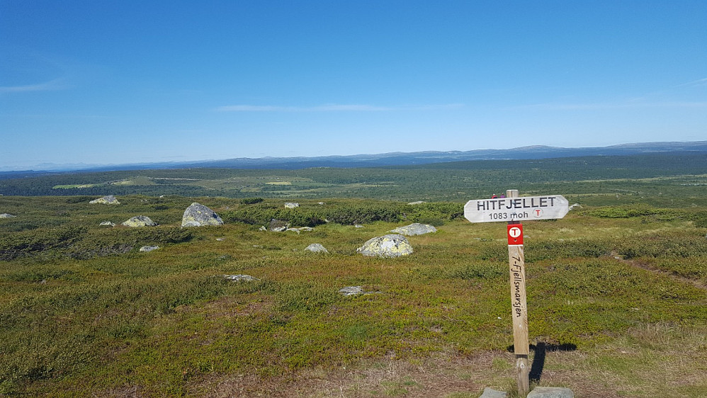 På Hitfjellet