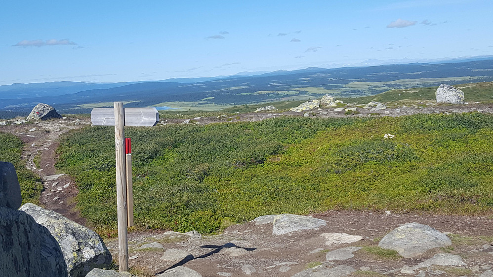 På Reinsfjellet