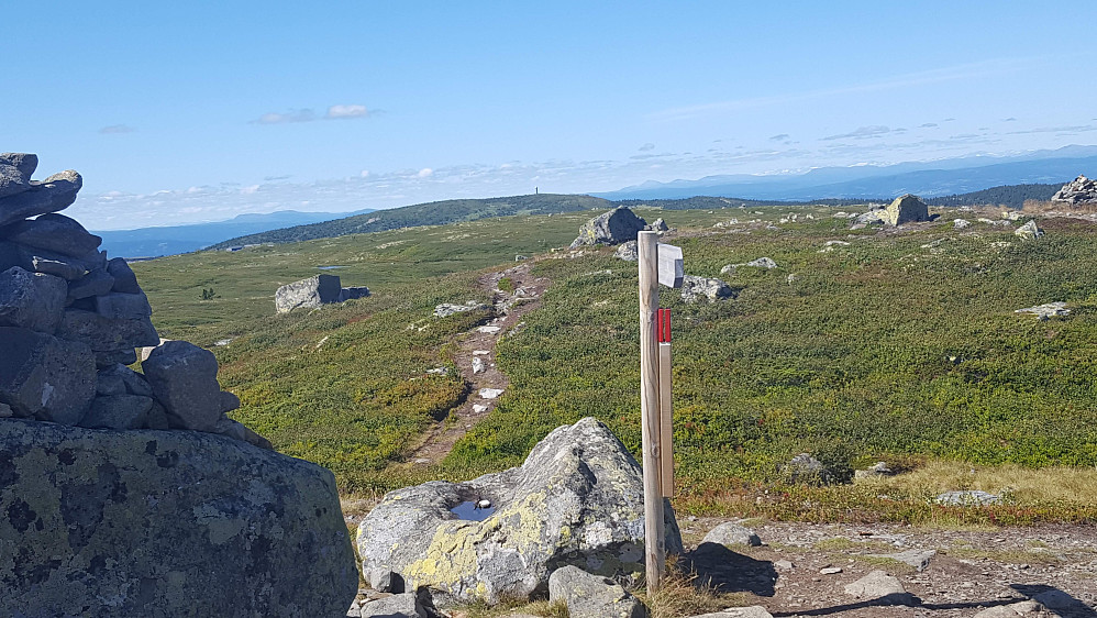 På Reinsfjellet