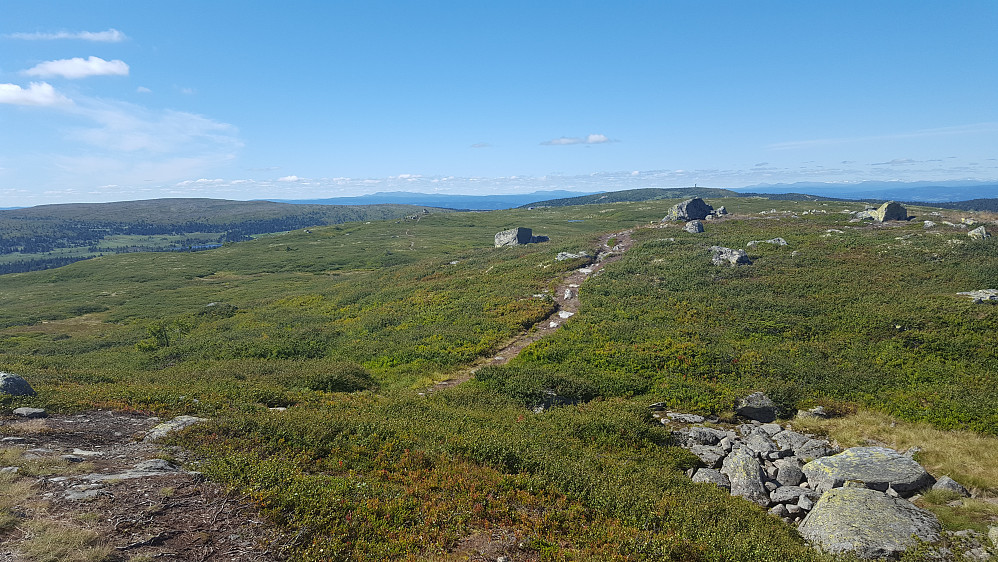 På Reinsfjellet
