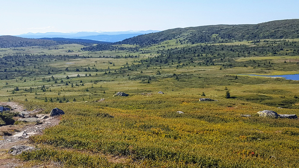 På Kriksfjellet