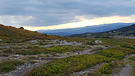 sinyg_20200811_5f32d2df29529.jpg