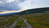 sinyg_20200811_5f32d2dfc0479.jpg