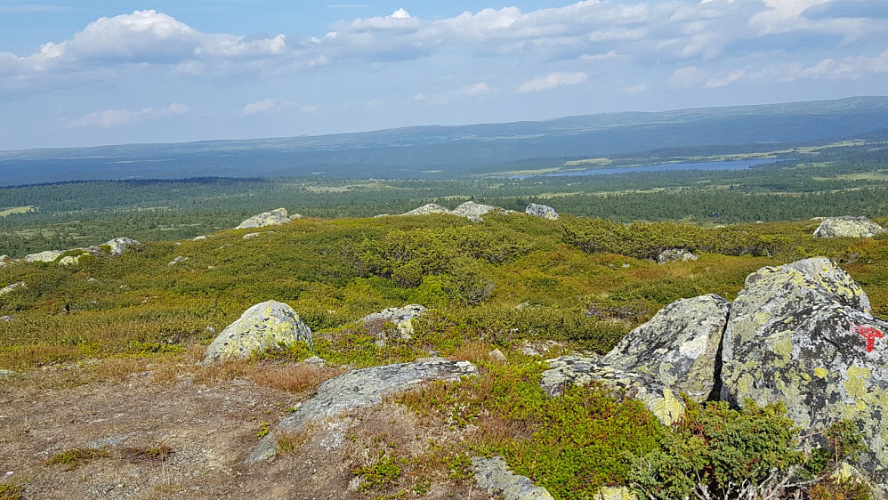 På Kriksfjellet