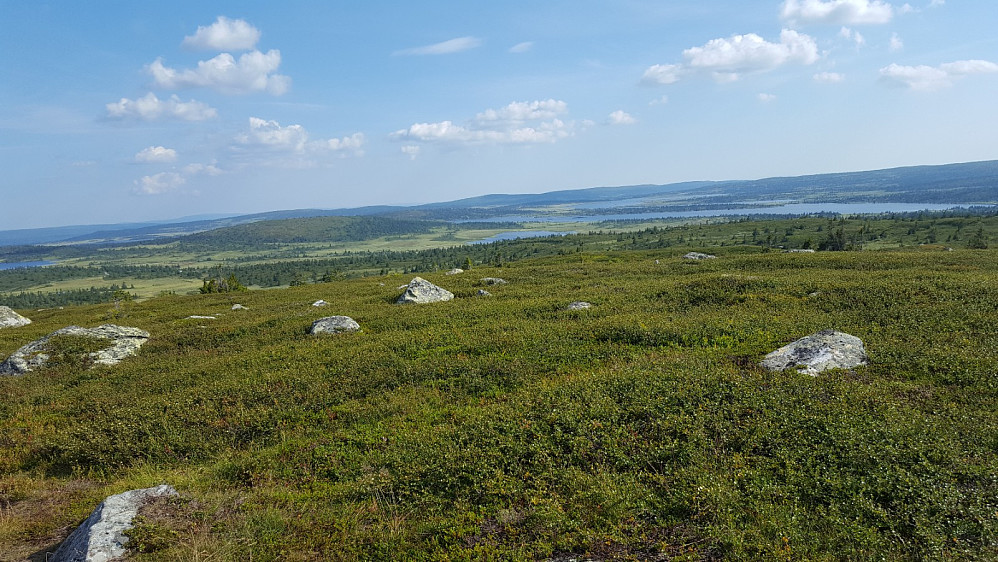 På Kriksfjellet