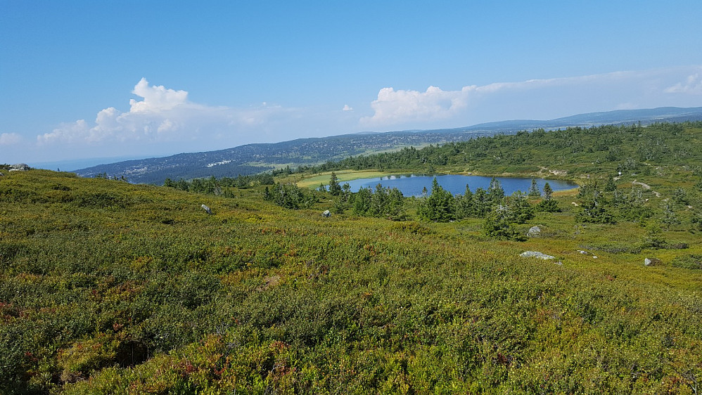 idyll ved Gulrandtjernet