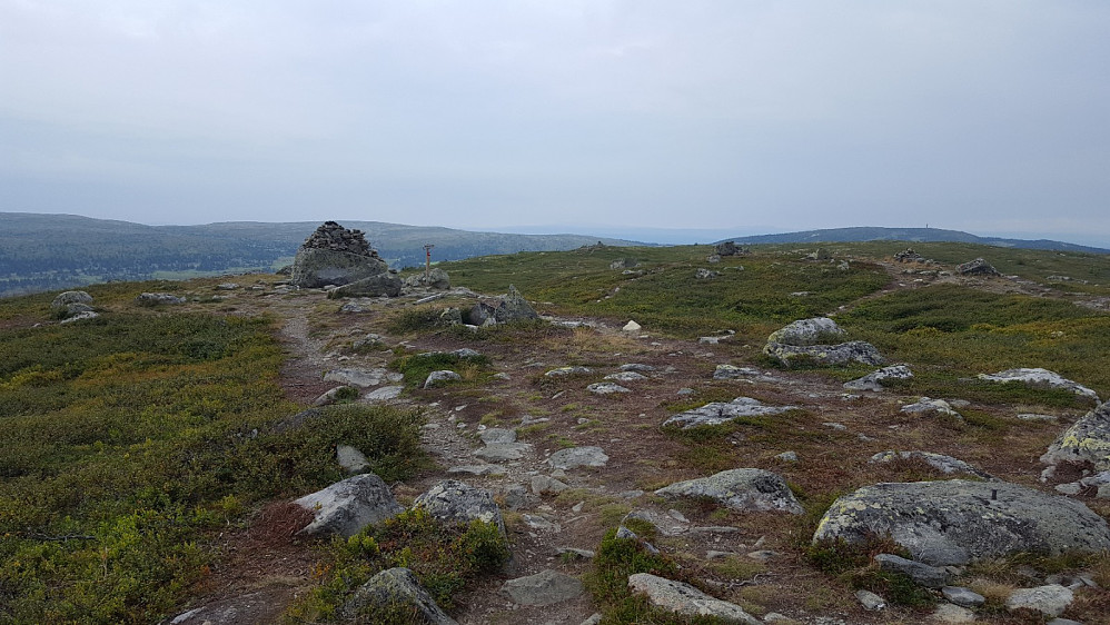 På Reinsfjellet