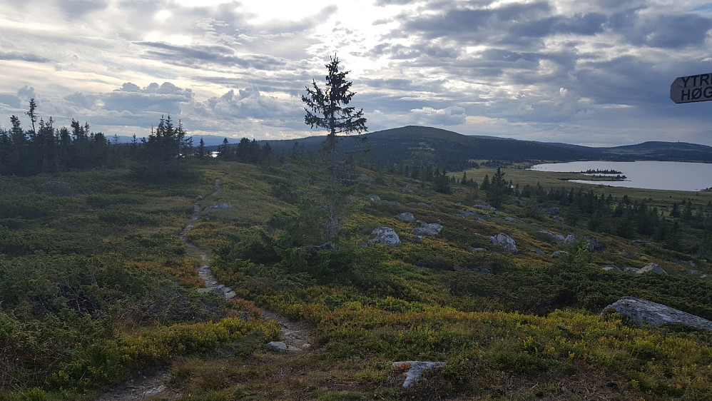 På Ytre Nyseterhøgda