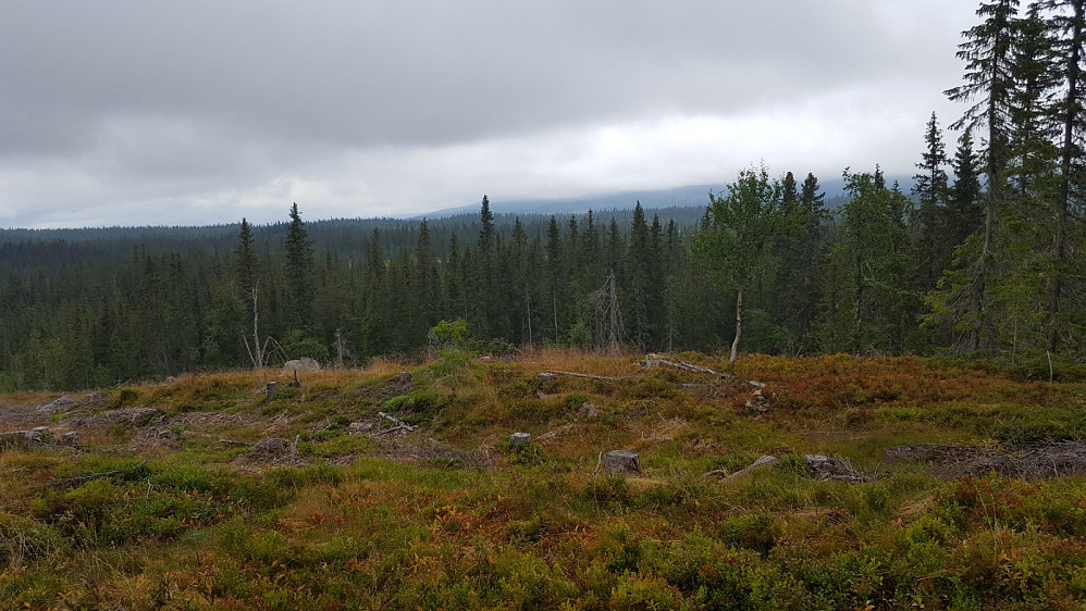 Grått innover mot Slåseterfjellet