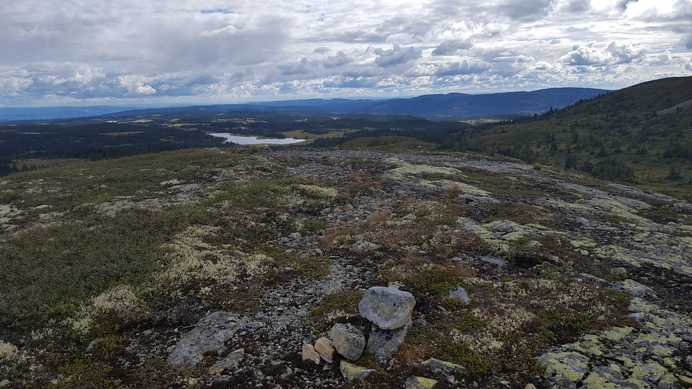 På Rævskorotjernhaugen
