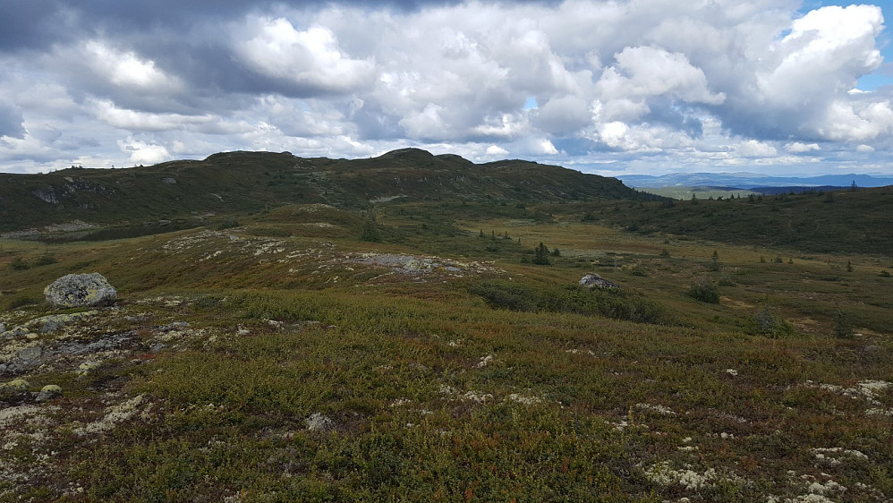 På Rævskorotjernhaugen