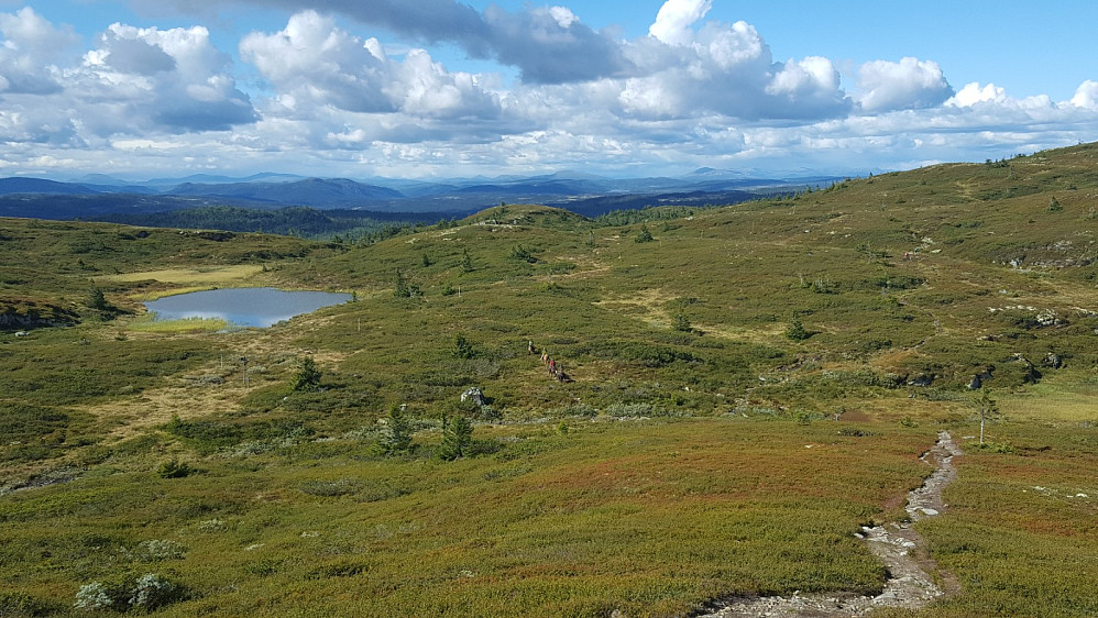 Mens jeg sto og snakket med damene, kom det et følge med fire hester opp fra Mjogsjøen og fortsatte opp til Myssmørhelje