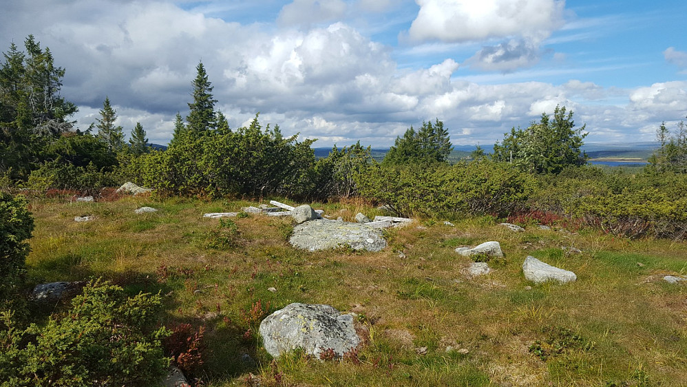 På Gjesbuåsen, ved det gamletrigpunktet