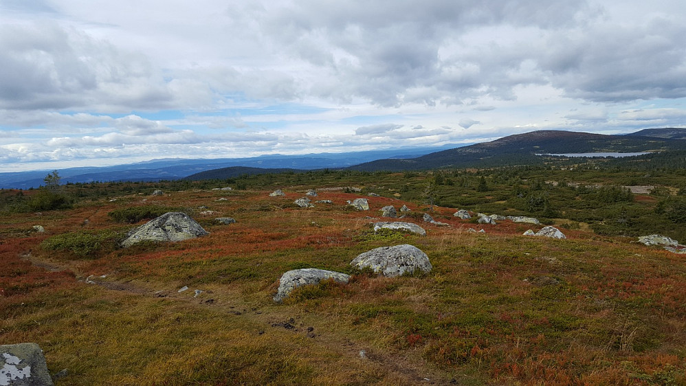 På Høgfjellet