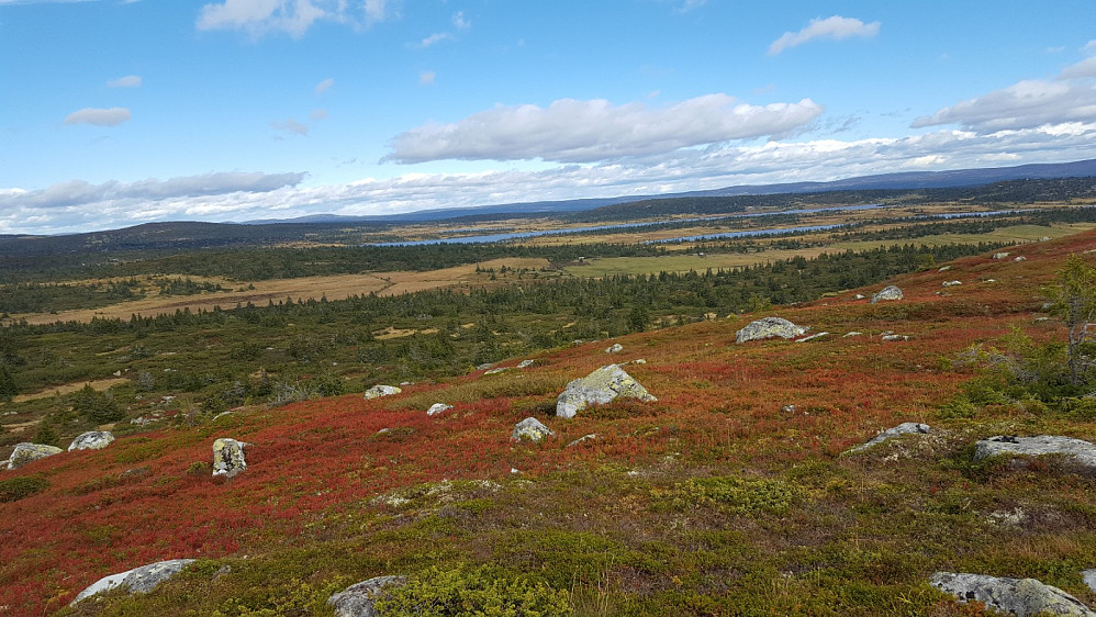 På Høgfjellet