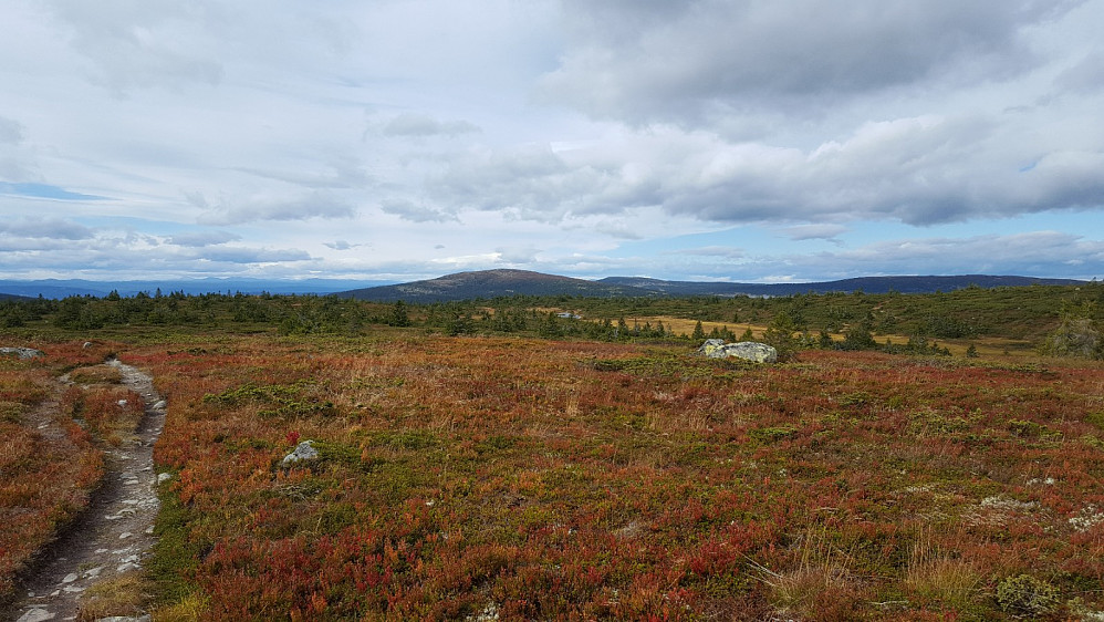 På Lunkefjell vest