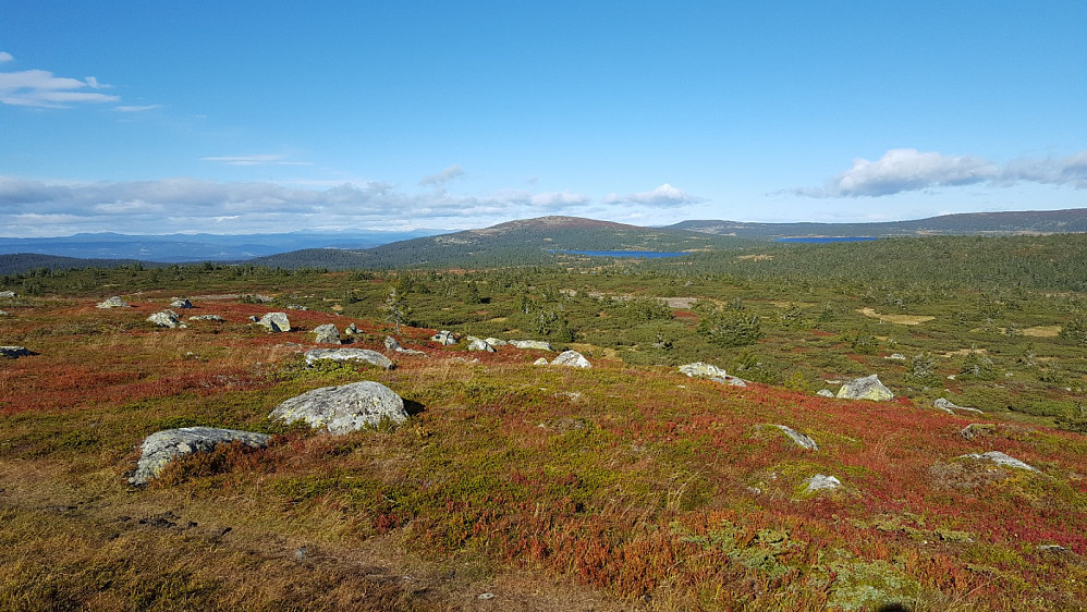 På Høgfjellet