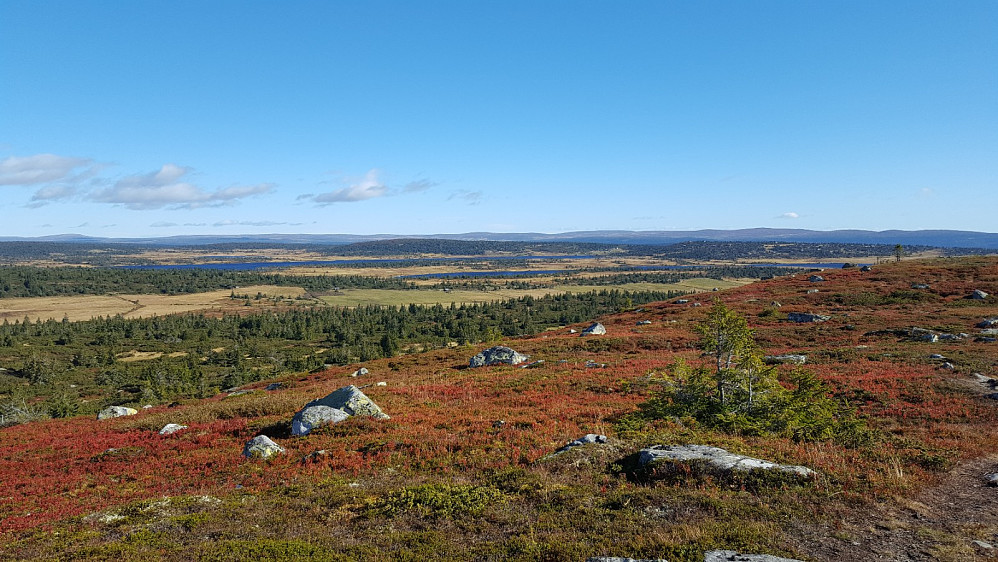 På Høgfjellet