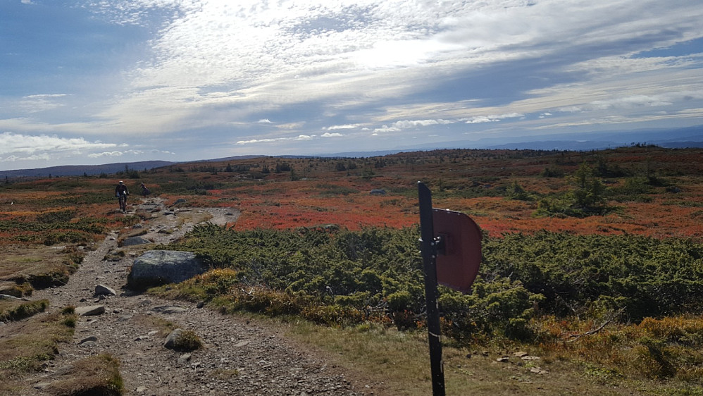 På Lunkefjell
