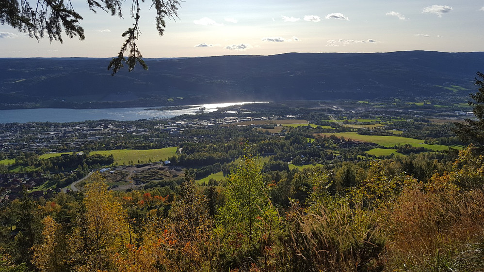 På Hansvehaugen