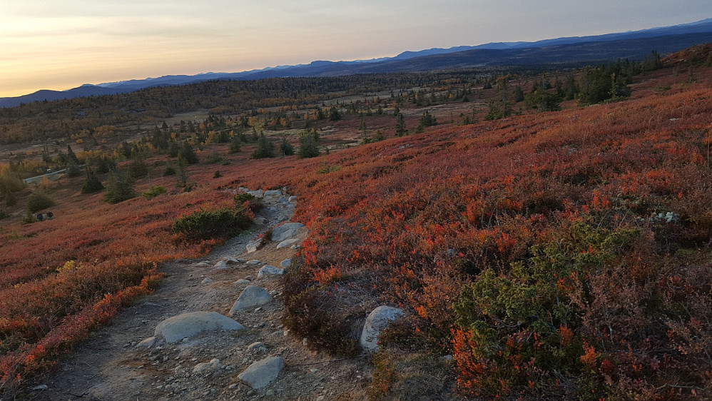 På Hærfjellet