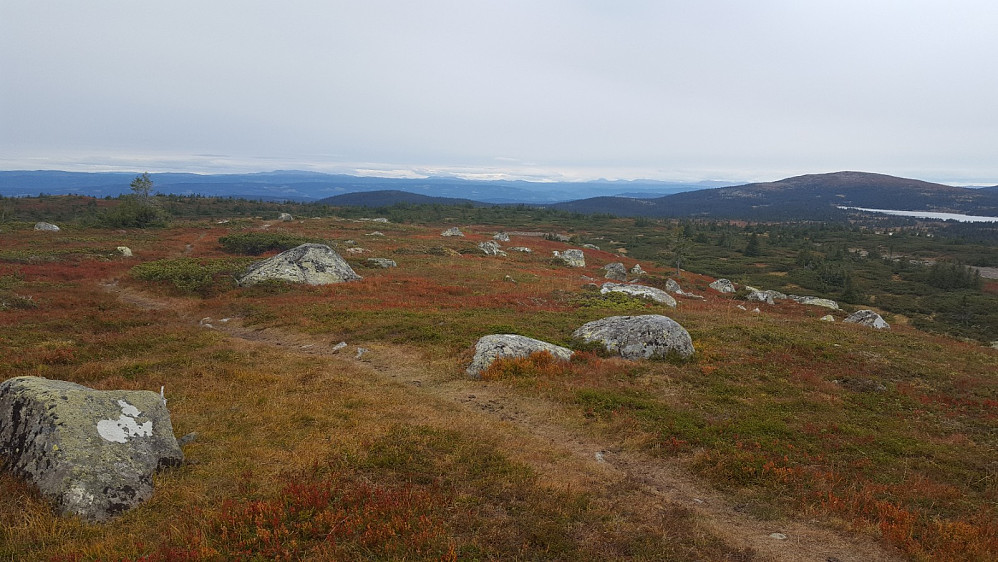 På Høgfjellet