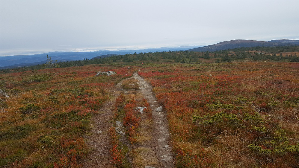 På Lunkefjell vest