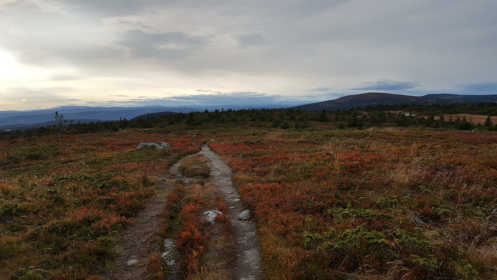 På Lunkefjell vest
