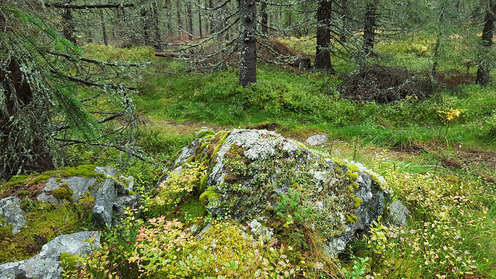 På Kanthaugen