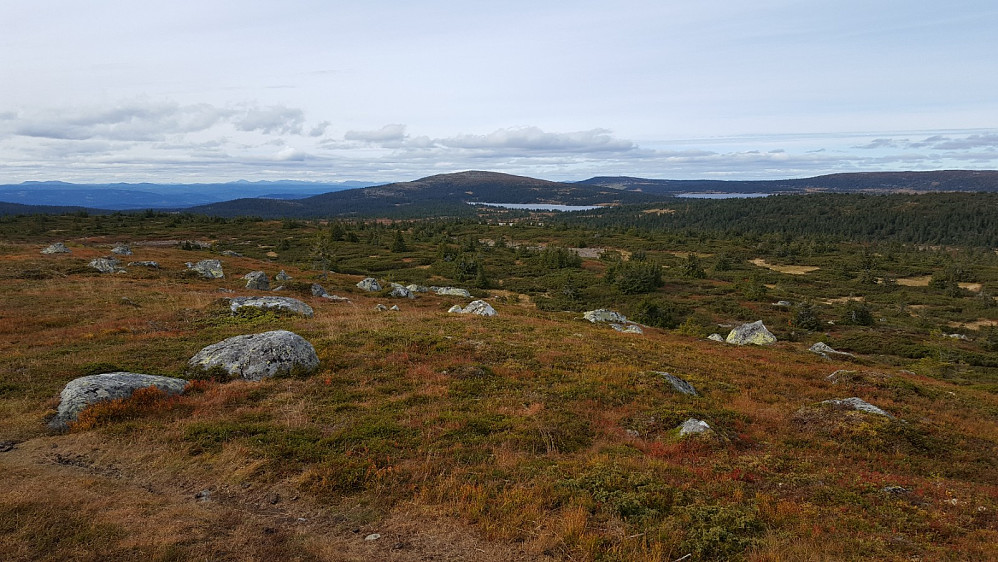 På Høgfjellet