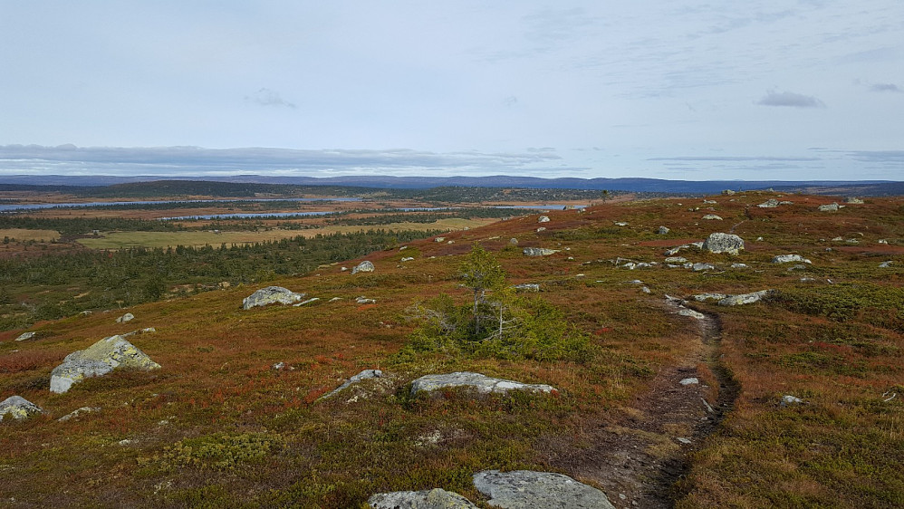På Høgfjellet