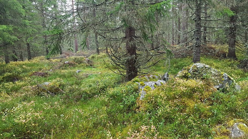 På Kanthaugen