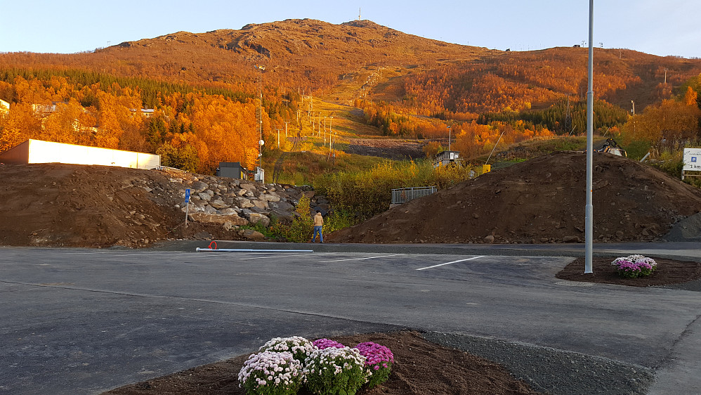 Mot Narvikfjellet
