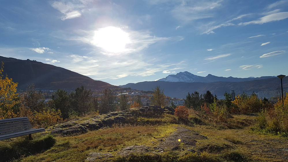 I Furuholtet park