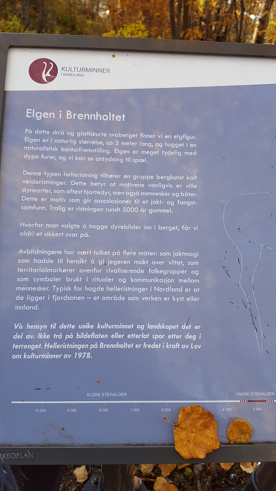 Informasjon om helleristningen