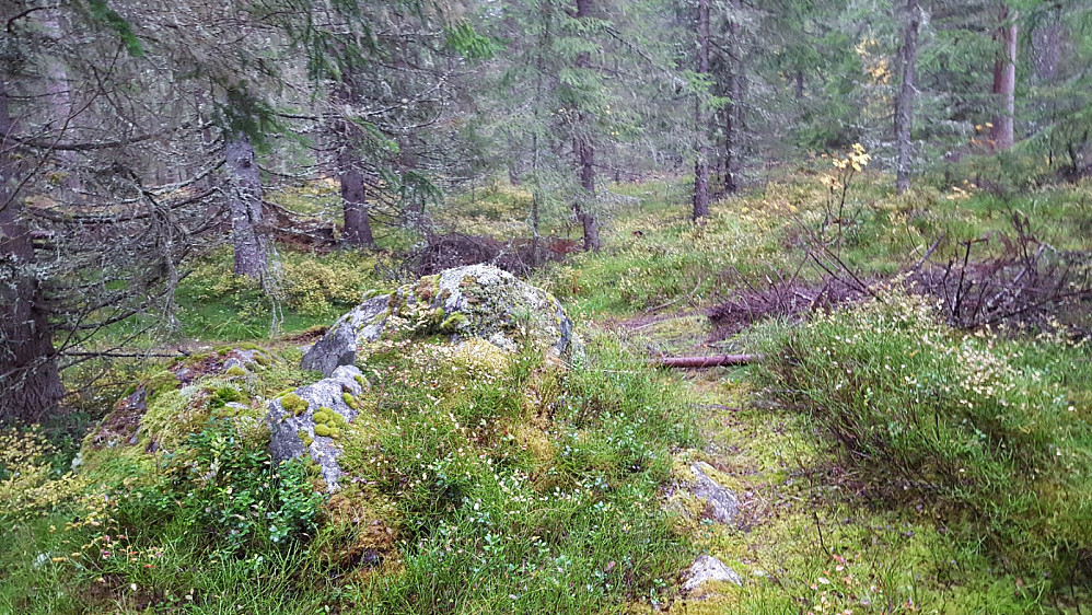 På Kanthaugen