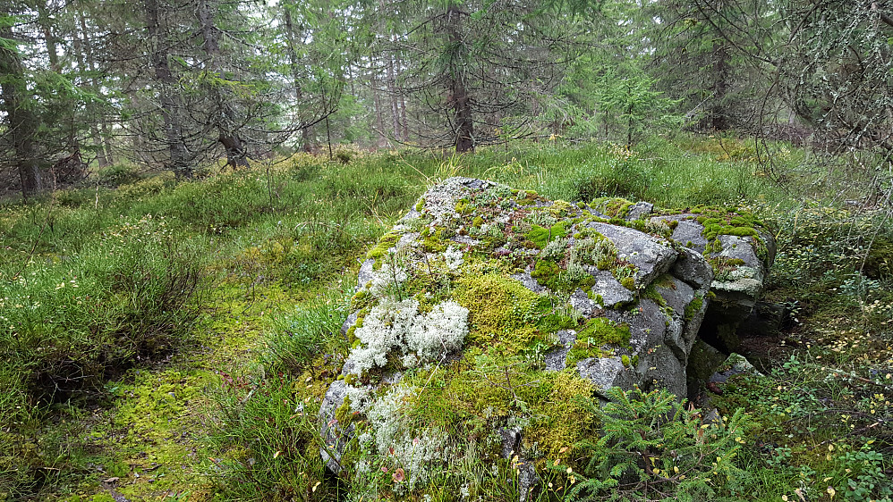 På Kanthaugen
