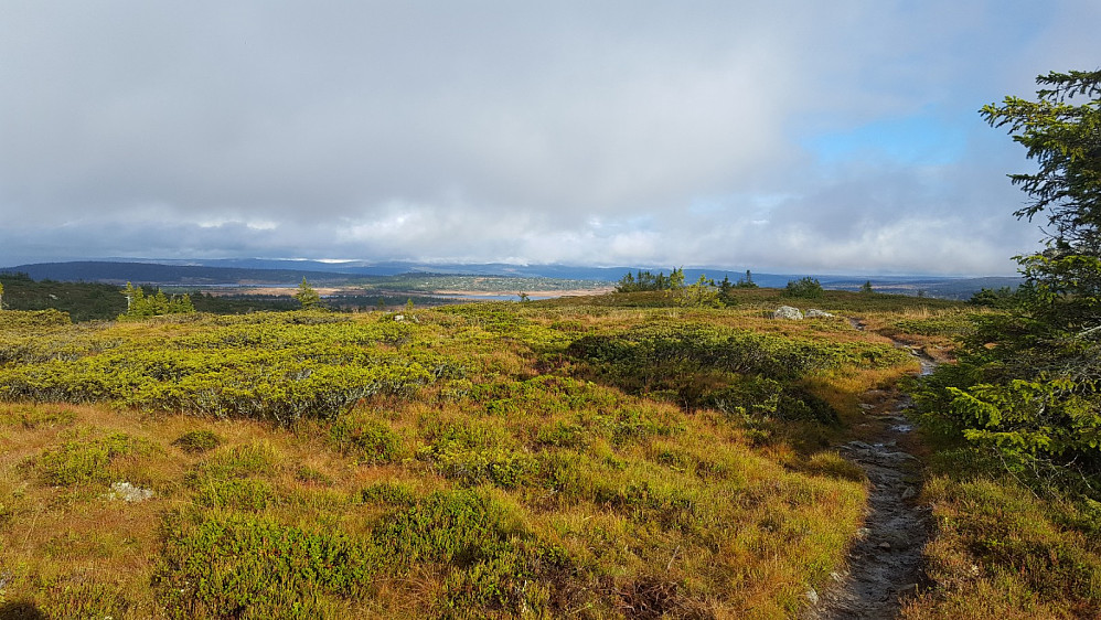 På Lunkefjell vest