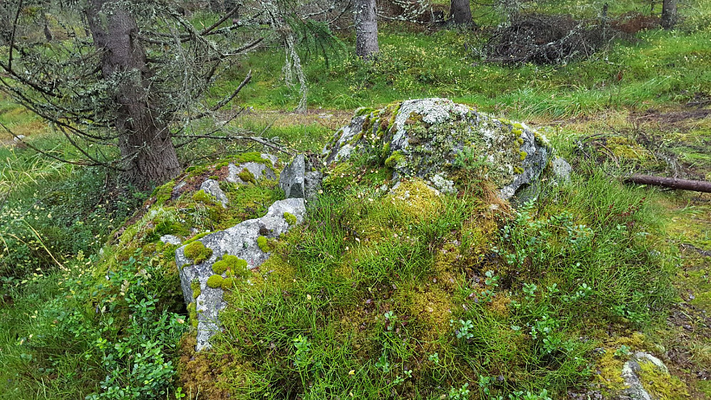 På Kanthaugen