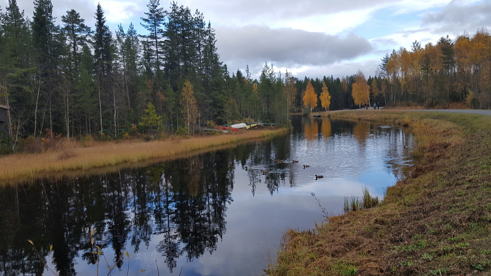 I Kanalen