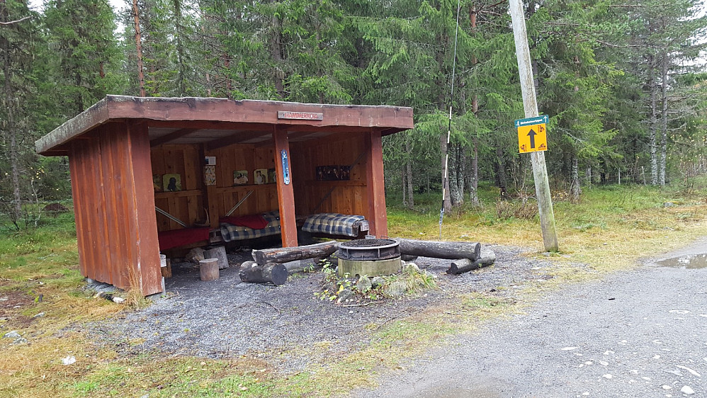 Hammerkoia