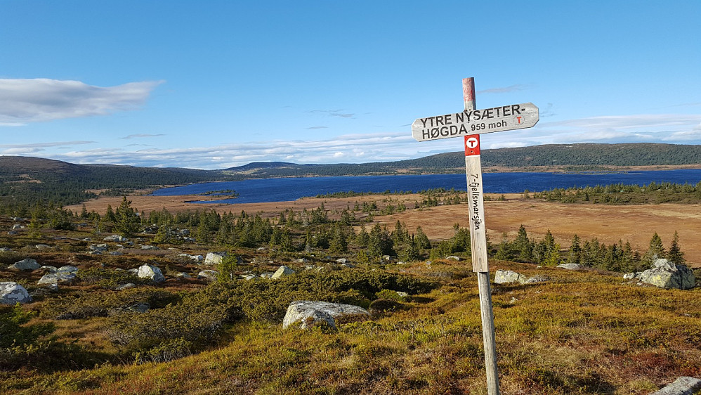 På Ytre Nysæterhøgda