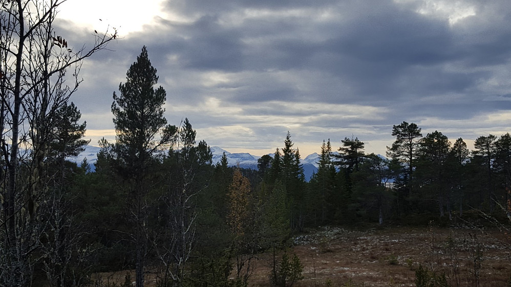 På Moldegårdshaugen
