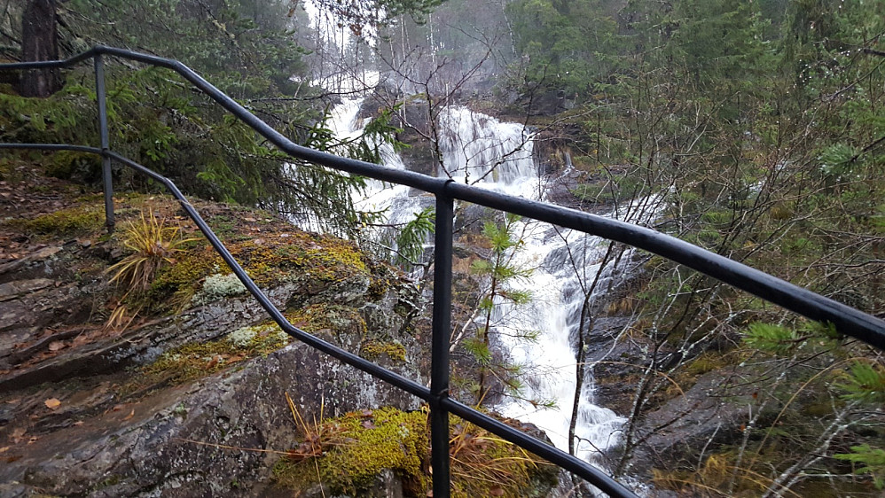 Mesnaelva