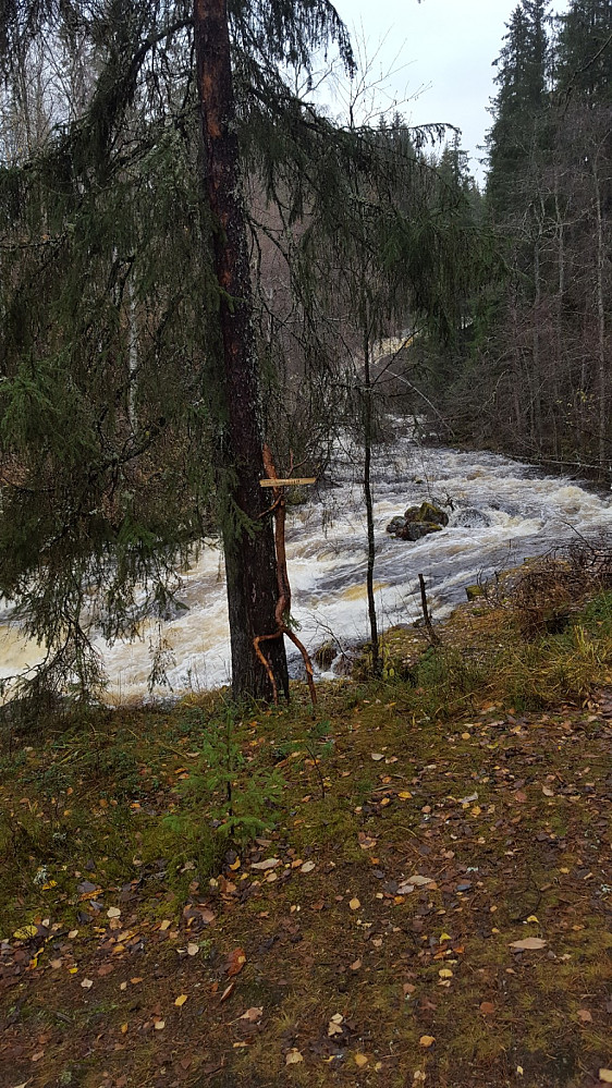 Mesnaelva