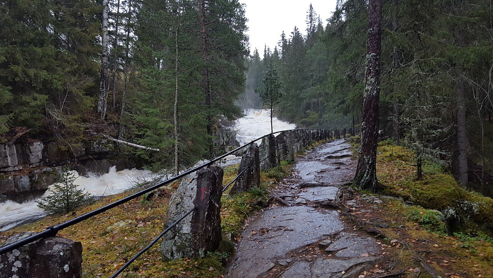 Stien langs Mesnaelva