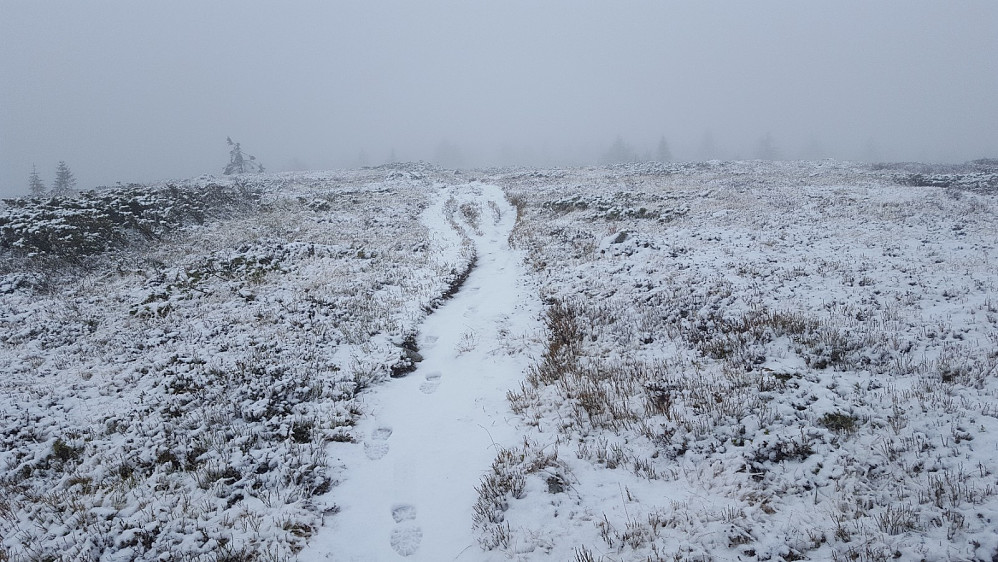 På Lunkefjell vest