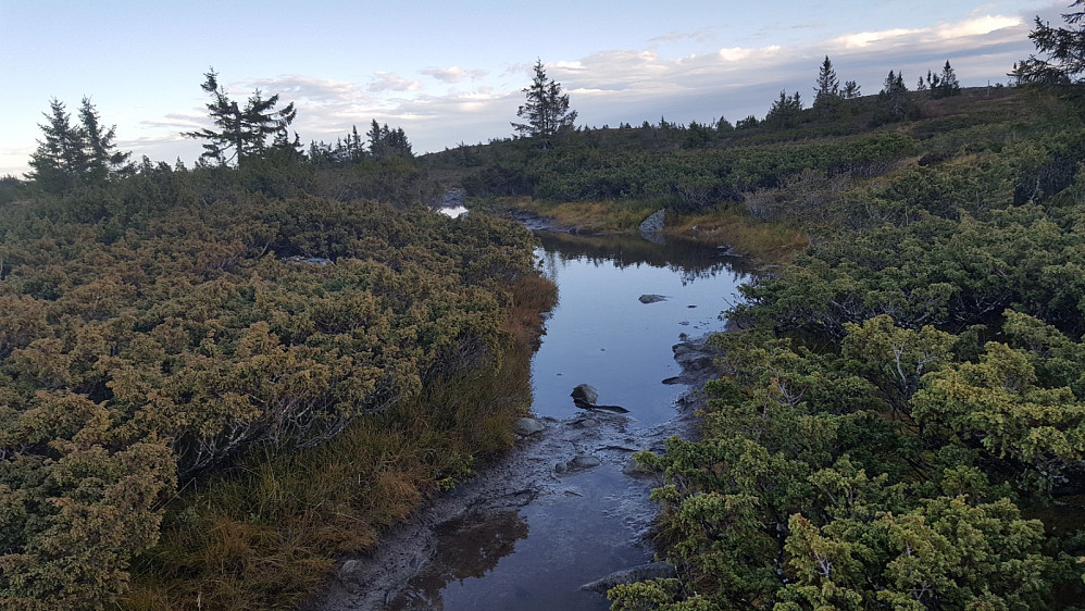 Mye vatn i råket