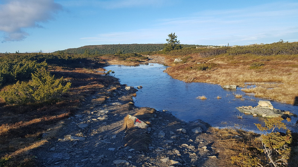 Vanndam i råket