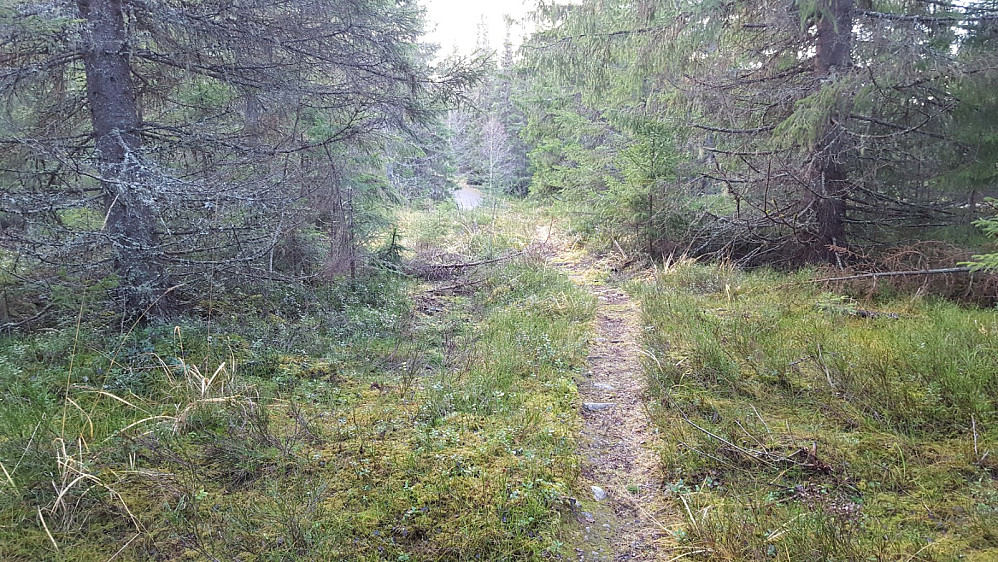 På Kanthaugen